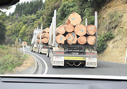 ‘No Logging Trucks On The Gentle Annie’ says TRAINZ