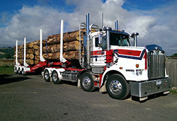 The Patchell Group expands options through Australian joint venture